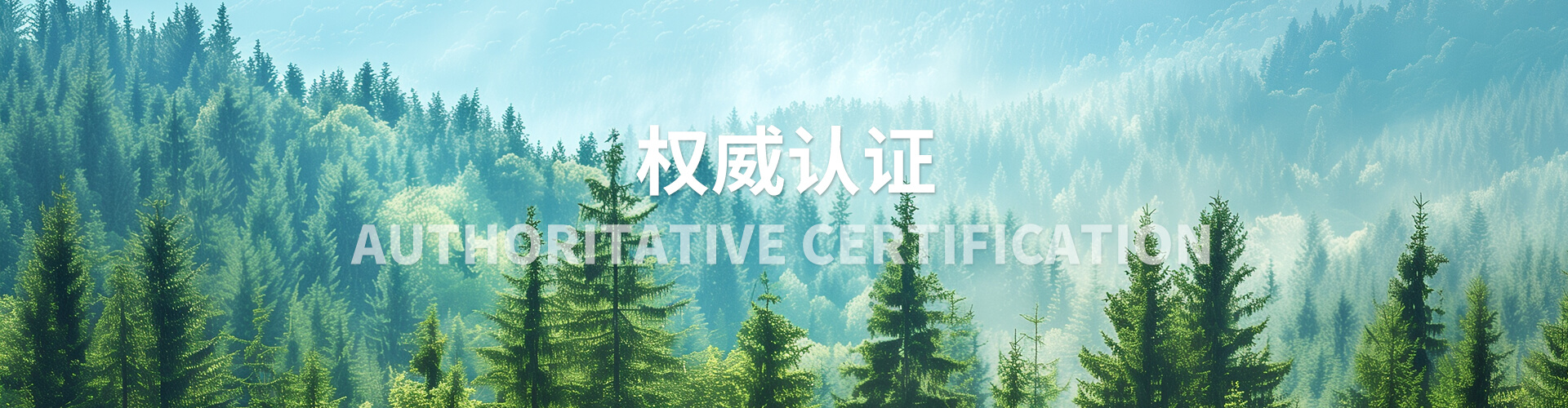 權(quán)威認證