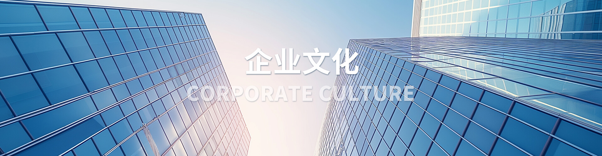 企業文化